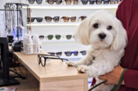 majstor optike (9) majstor optike (9)