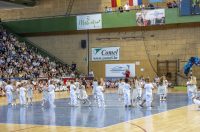 mala maturijada 2026 (102) mala maturijada 2026 (102)