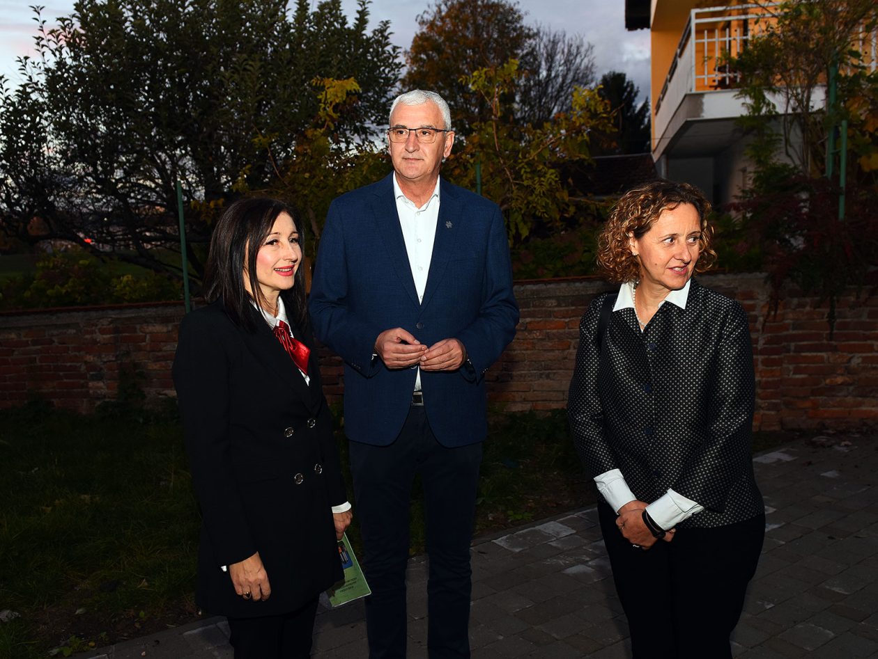 mihaliceva kuca (14)