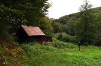 mlin zuti put radonja (1) mlin zuti put radonja (1)