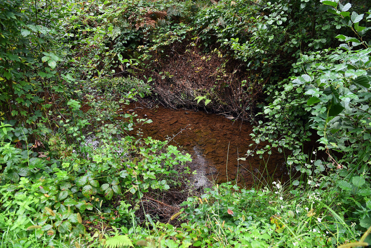 mlin zuti put radonja (11) mlin zuti put radonja (11)