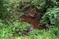 mlin zuti put radonja (11) mlin zuti put radonja (11)