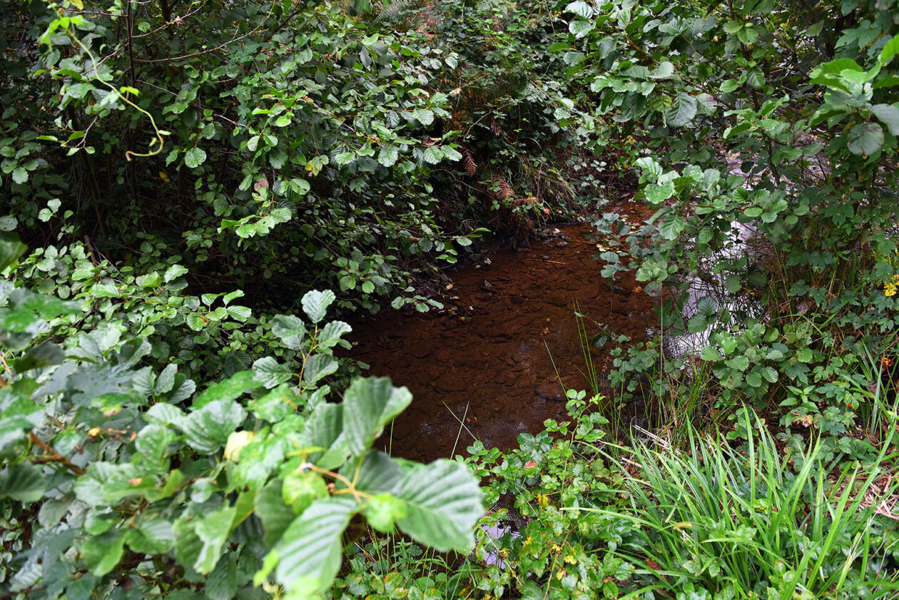 mlin zuti put radonja (12) mlin zuti put radonja (12)