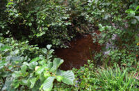 mlin zuti put radonja (12) mlin zuti put radonja (12)