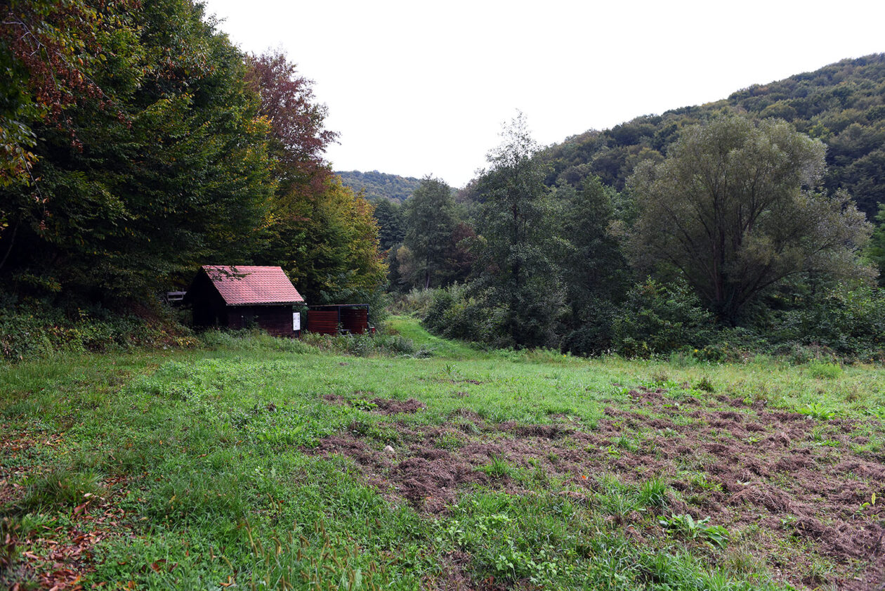 mlin zuti put radonja (14) mlin zuti put radonja (14)