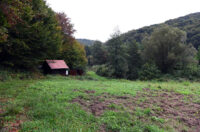 mlin zuti put radonja (14) mlin zuti put radonja (14)