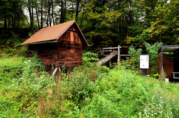 mlin zuti put radonja (2)