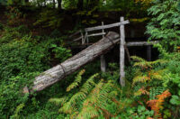 mlin zuti put radonja (5) mlin zuti put radonja (5)