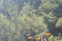 mreznica_rafting_primislje (31) mreznica_rafting_primislje (31)