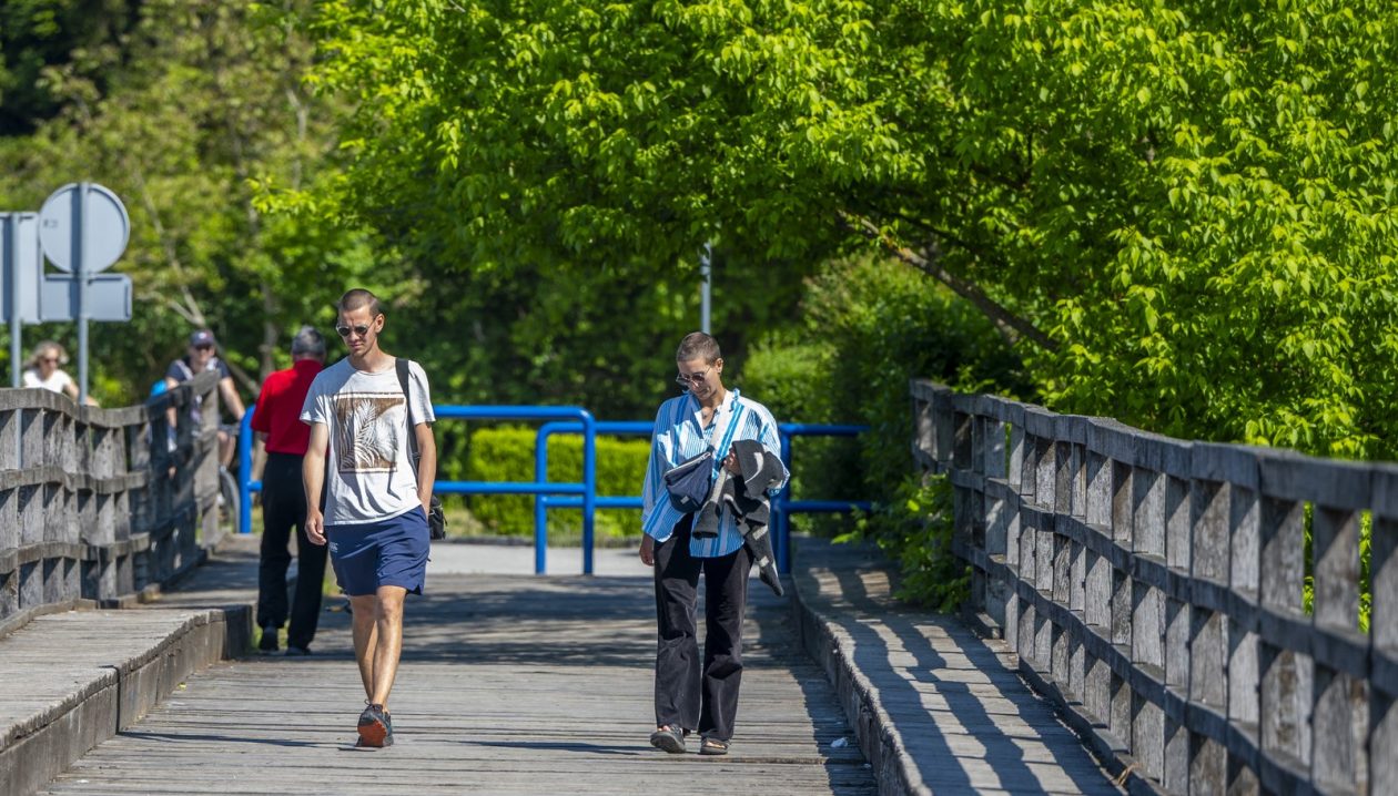 nedjeljna galerija (12)