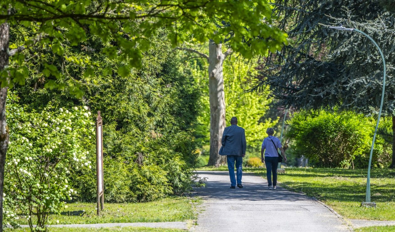 nedjeljna galerija (13)