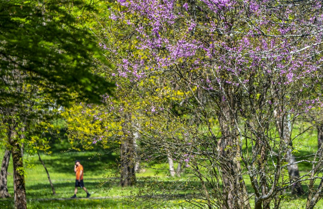 nedjeljna galerija (14)