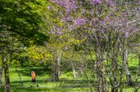 nedjeljna galerija (14)