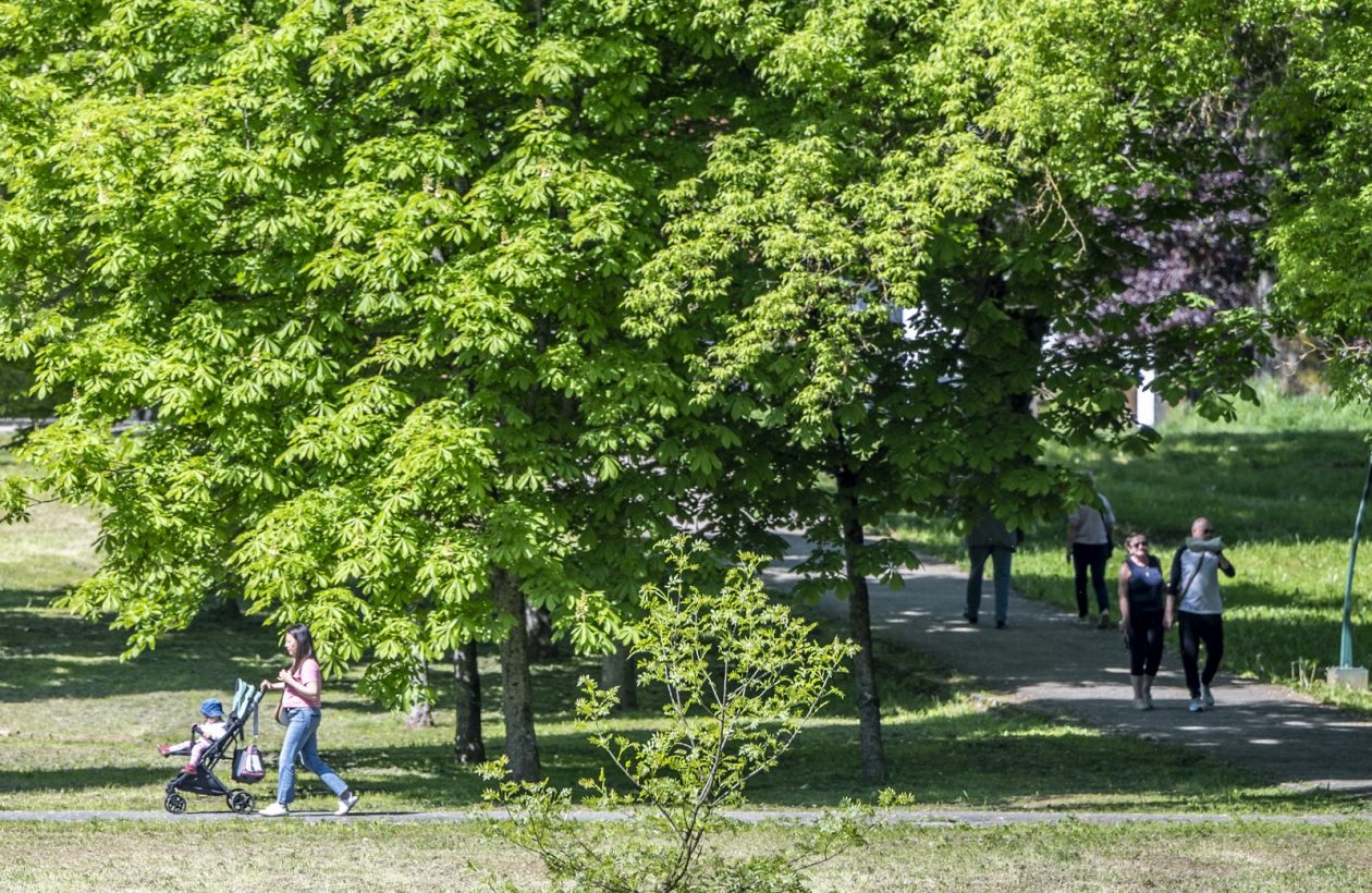 nedjeljna galerija (15)