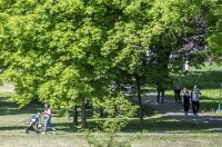 nedjeljna galerija (15)