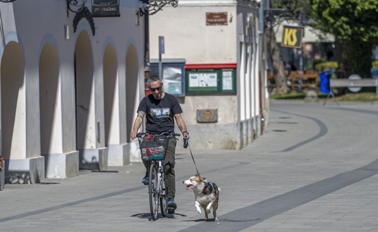 nedjeljna galerija (16)