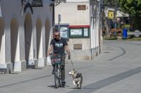 nedjeljna galerija (16)