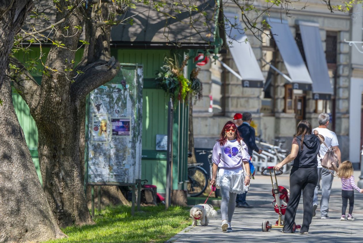 nedjeljna galerija (18)