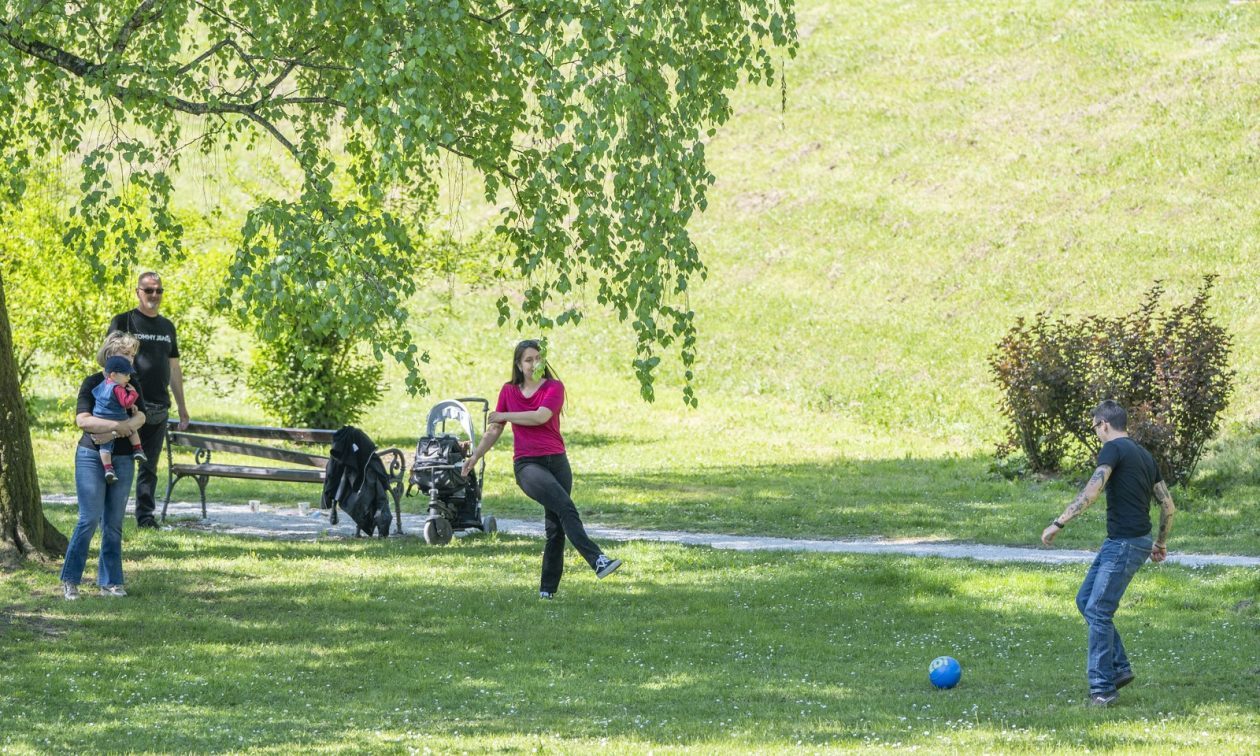 nedjeljna galerija (19)