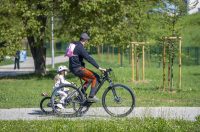 nedjeljna galerija (2)