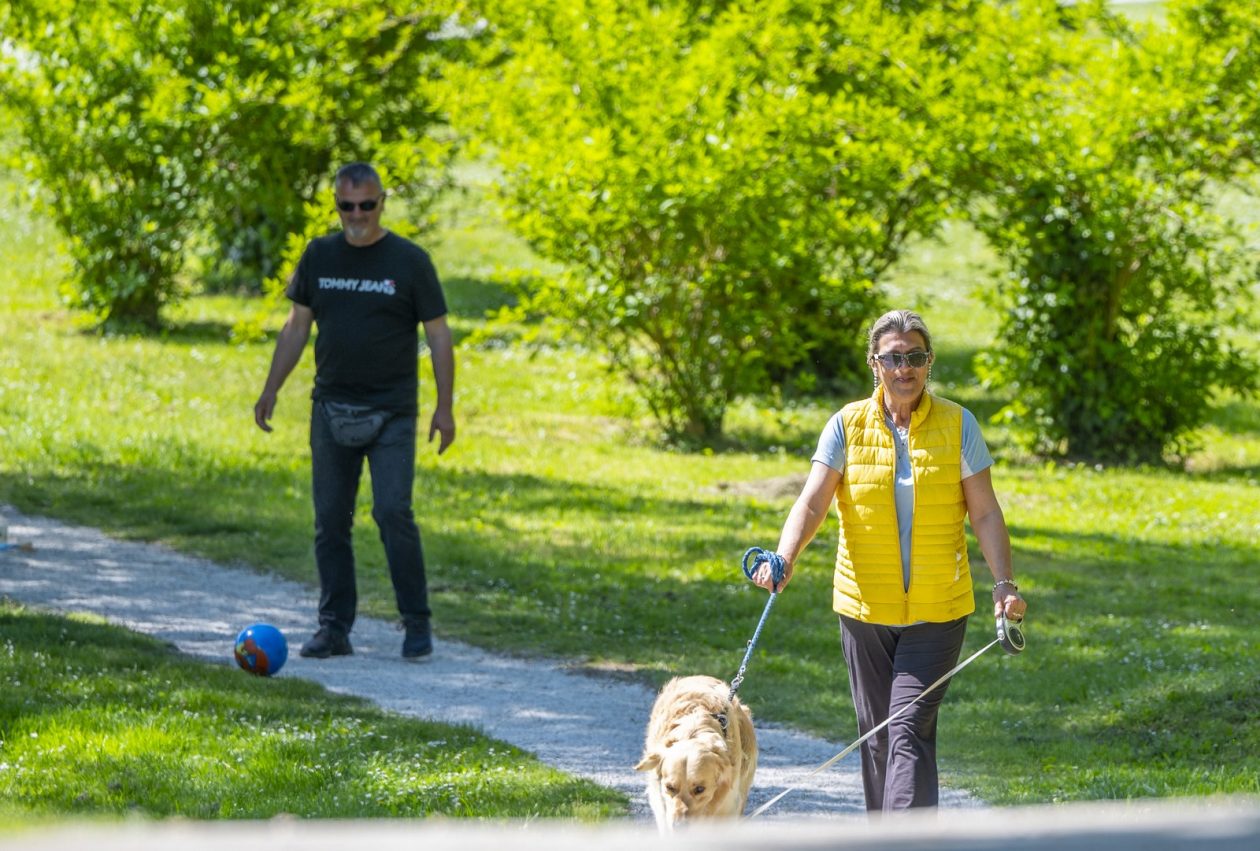 nedjeljna galerija (21)