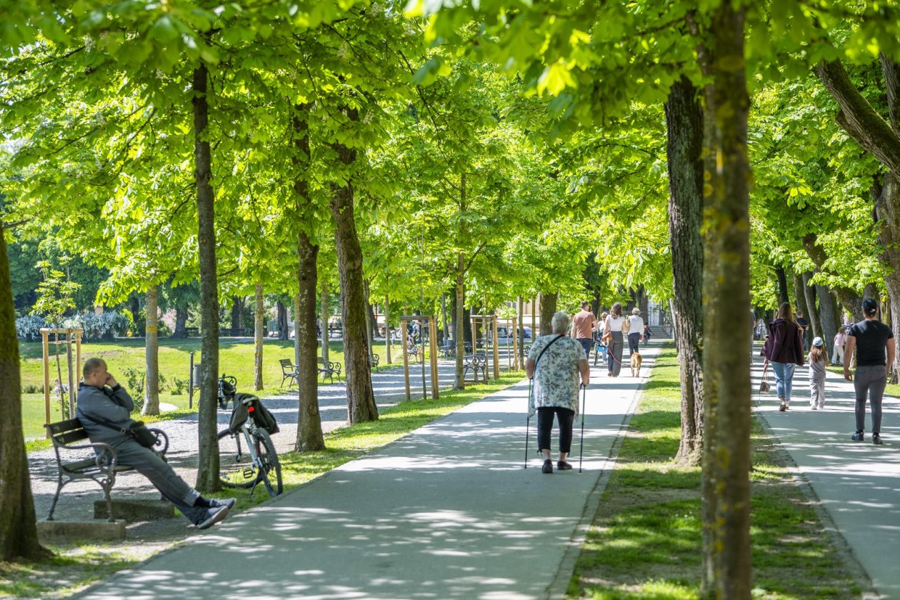 nedjeljna galerija (22)