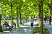 nedjeljna galerija (22)