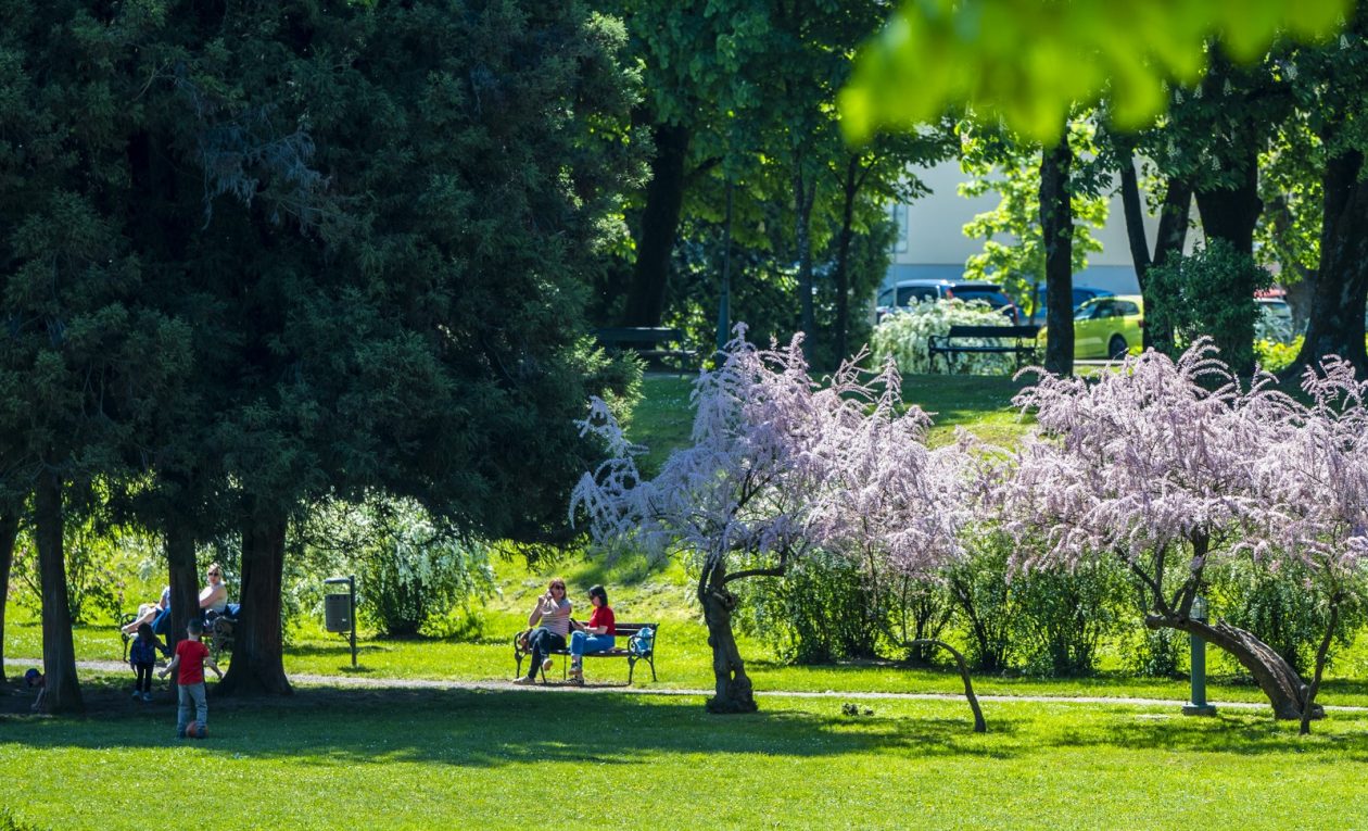 nedjeljna galerija (23)