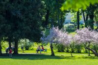 nedjeljna galerija (23)