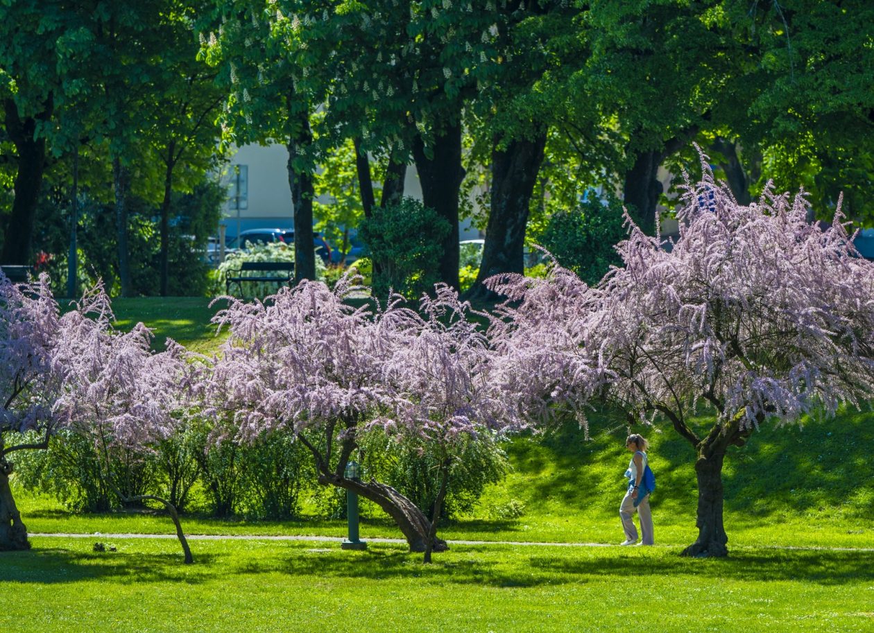 nedjeljna galerija (24)