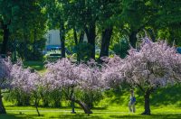 nedjeljna galerija (24)