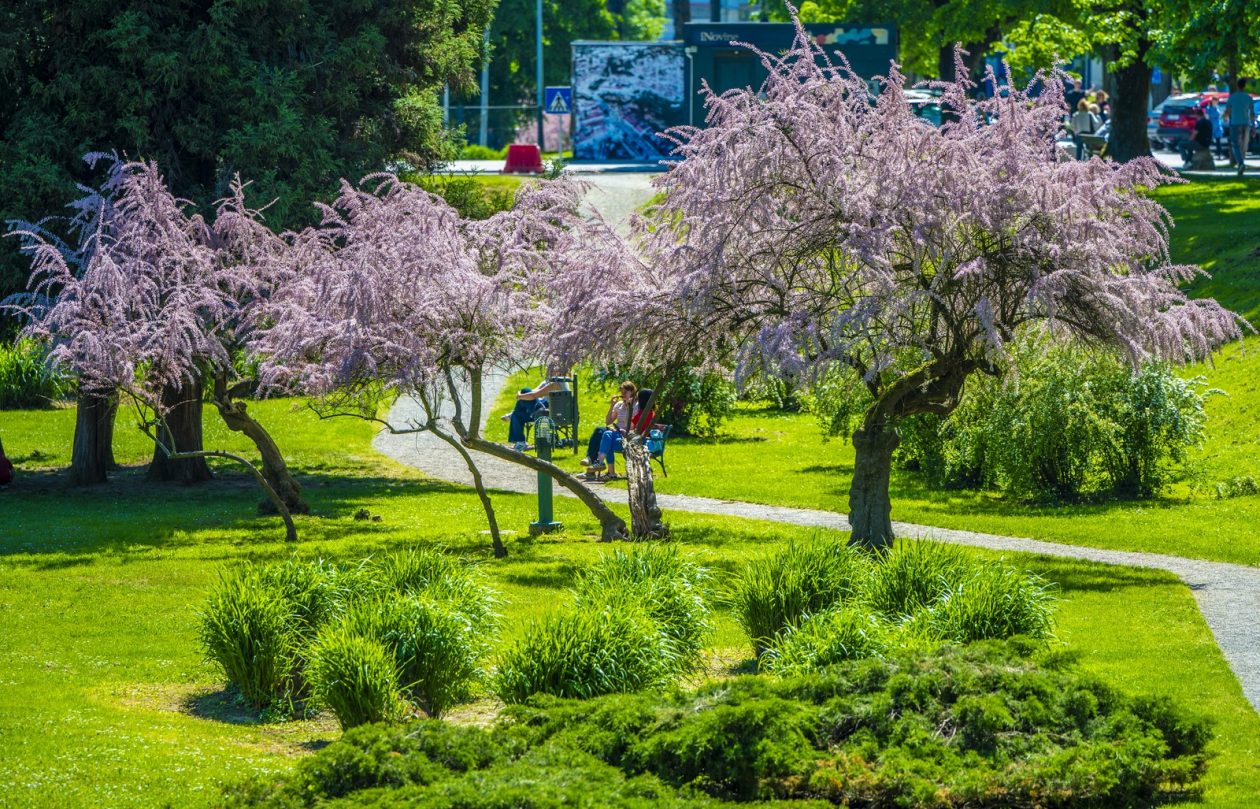nedjeljna galerija (26)
