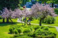 nedjeljna galerija (26)