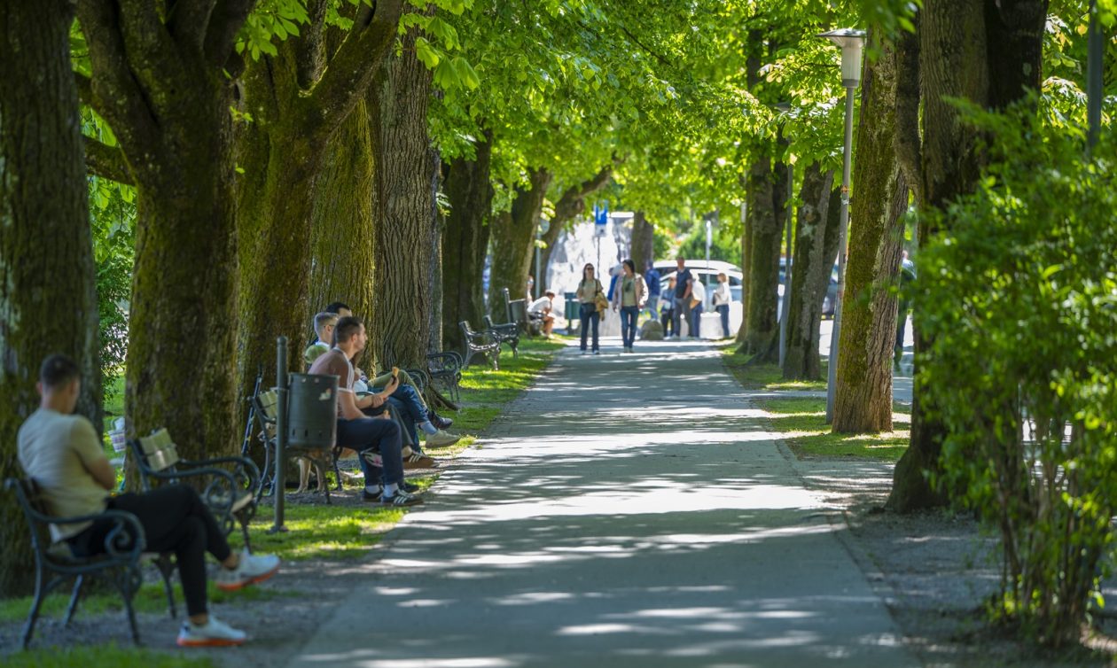 nedjeljna galerija (28)