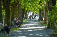 nedjeljna galerija (28)