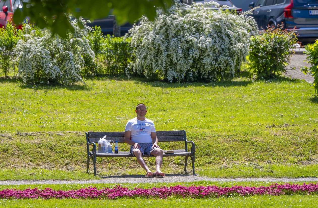 nedjeljna galerija (29)