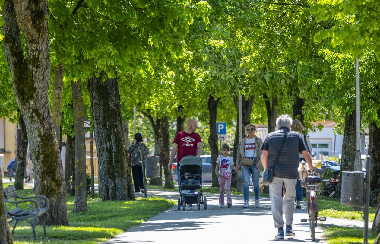 nedjeljna galerija (30)