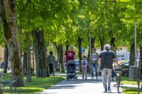 nedjeljna galerija (30)