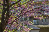 nedjeljna galerija (31)