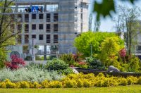 nedjeljna galerija (32)