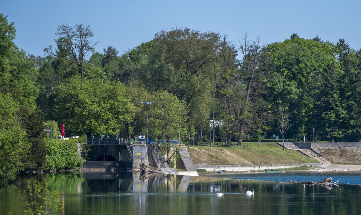 nedjeljna galerija (4)