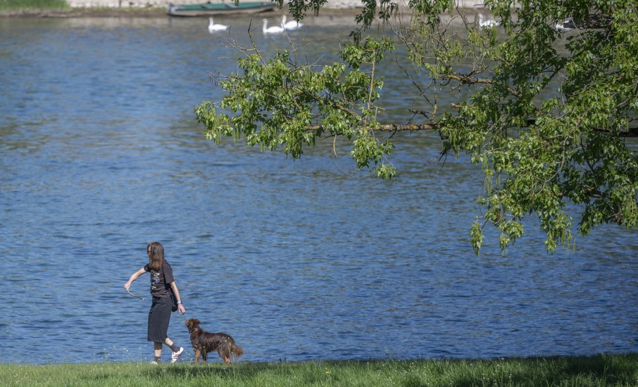 nedjeljna galerija (6)