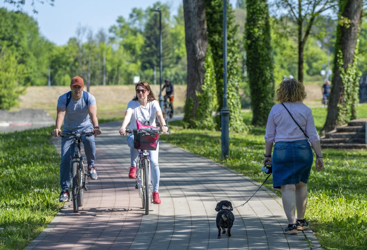 nedjeljna galerija (7)