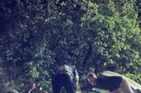 nesreca duga resa (7) nesreca duga resa (7)