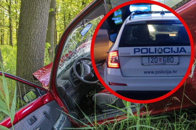 nesreca policija drvo