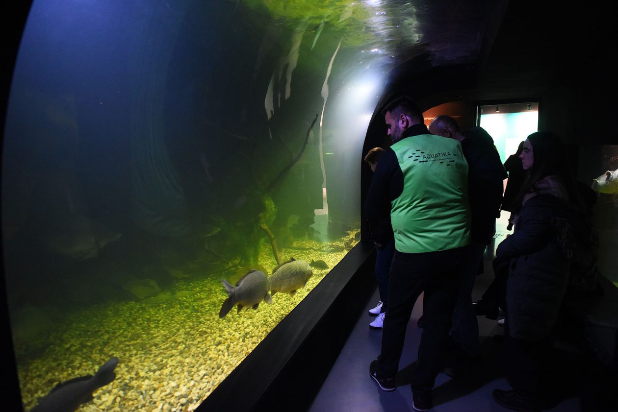 noc muzeja aquatika (3) noc muzeja aquatika (3)