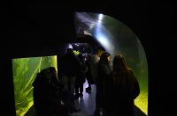 noc muzeja aquatika (6) noc muzeja aquatika (6)