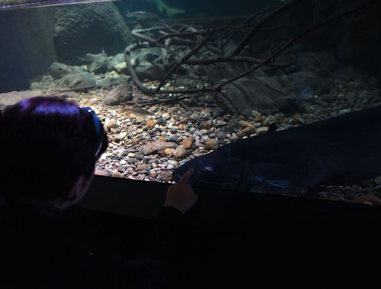 noc muzeja aquatika (7) noc muzeja aquatika (7)