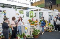obrtnicki sajam 2026 (105)