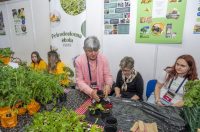 obrtnicki sajam 2026 (11)